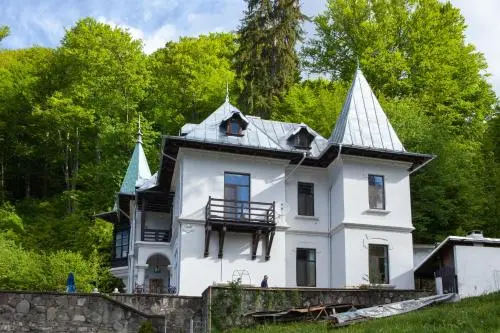 IL Piccolo Castello Busteni