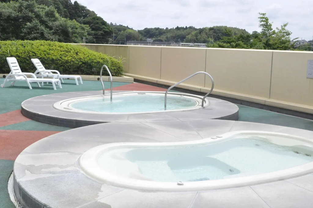 International Garden Hotel Narita - Général