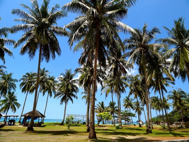 Beach & Waterfront