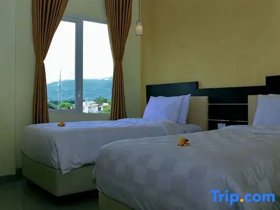 Deluxe Double room with city view (twin beds)