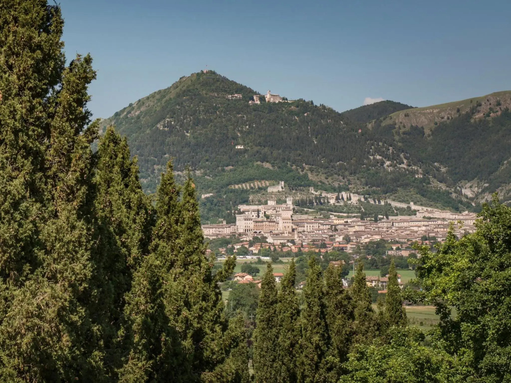 Hotel Villa Montegranelli - фото 24