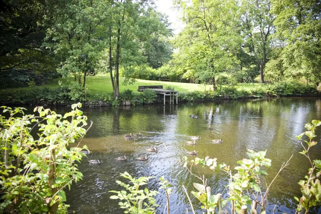 Wolfen Mill - Chambres