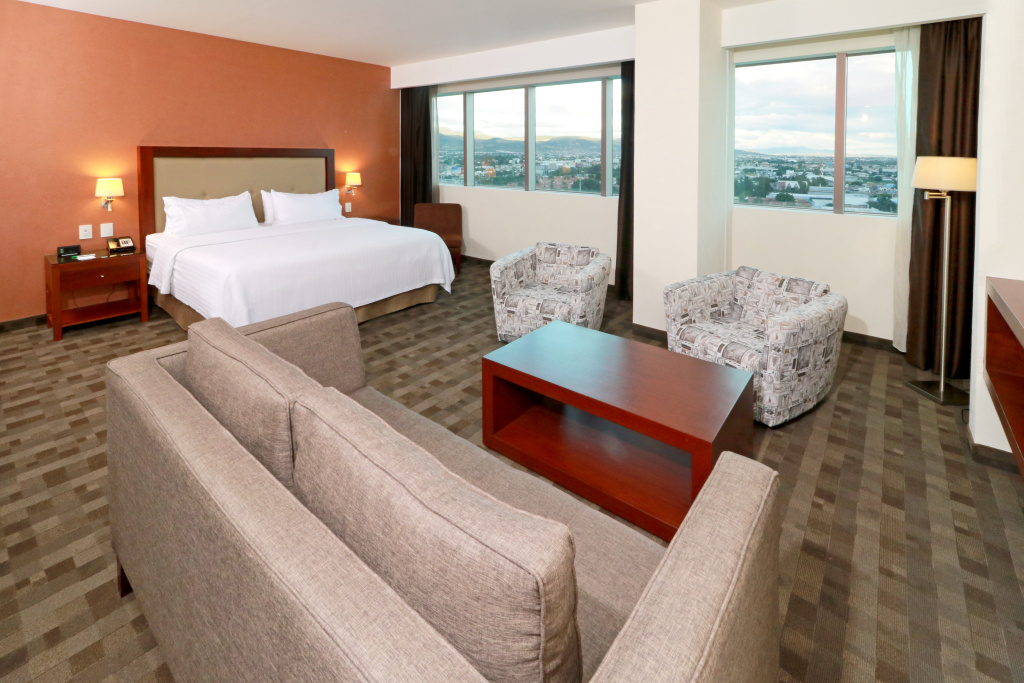 Holiday Inn Leon Plaza Mayor by IHG - Général