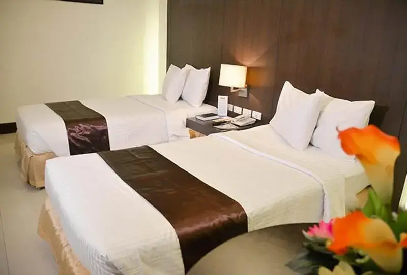 Standard Double room (twin beds)