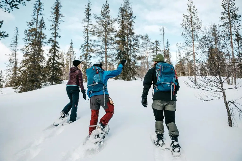 Lapland Hotels Riekonlinna - Général