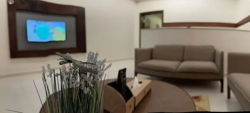 Delta Suite