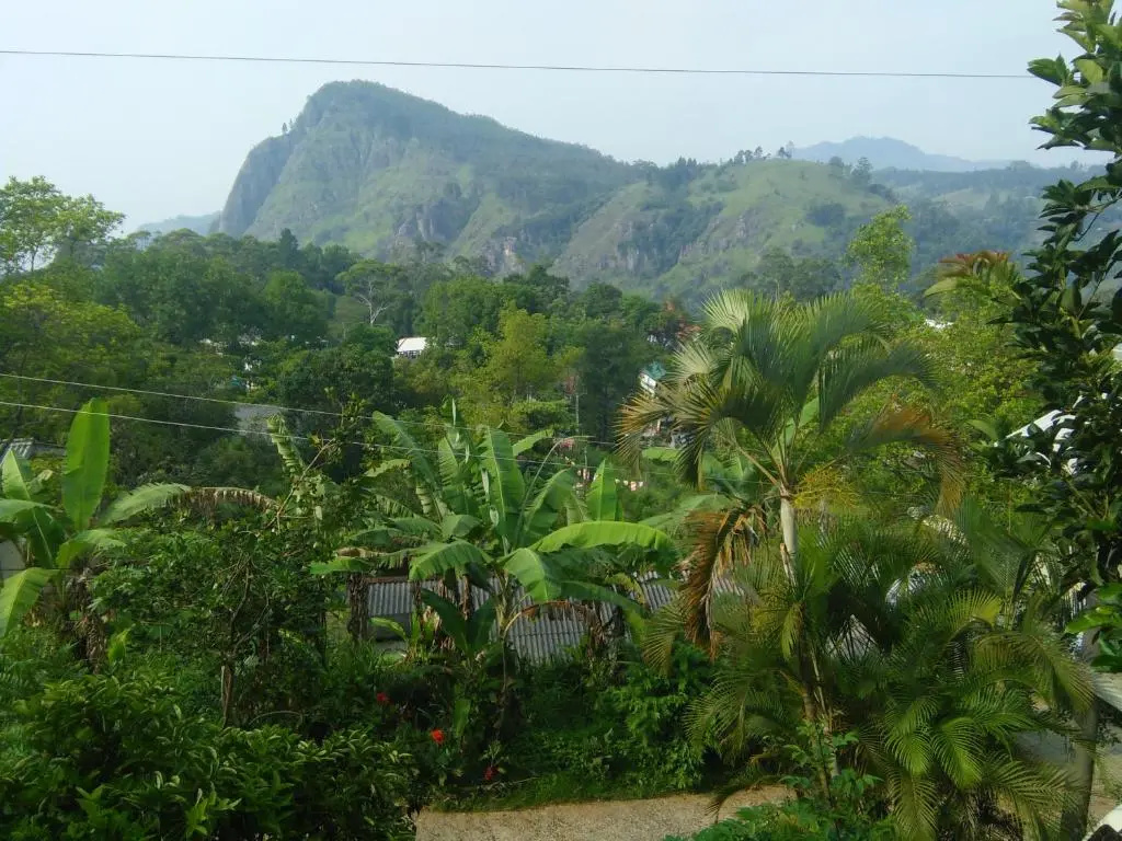 Eden View Ella - Chambres