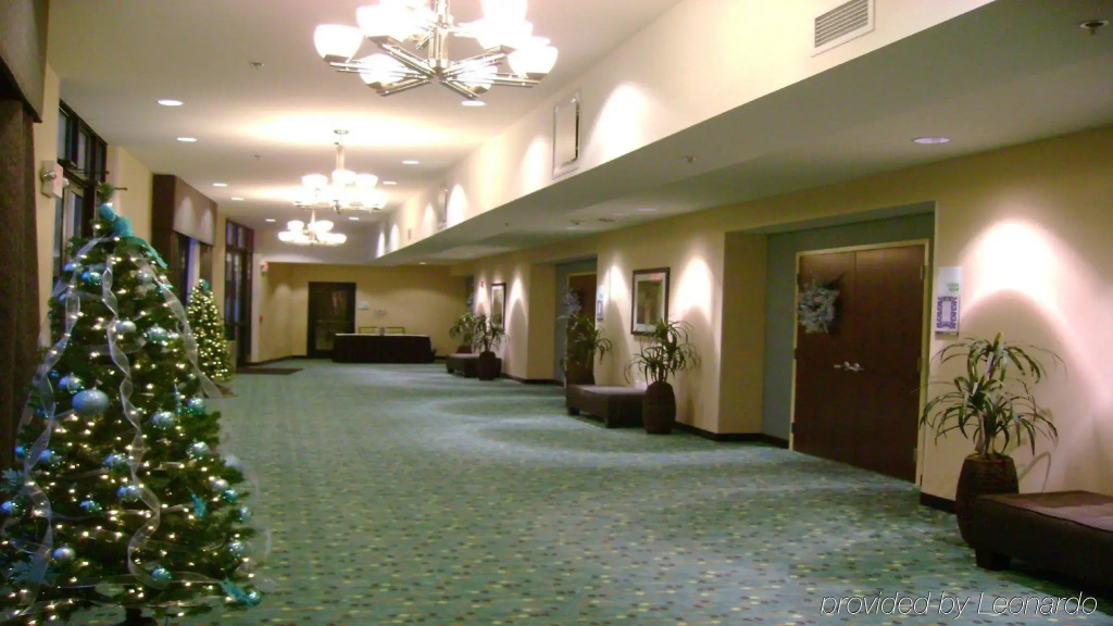 Holiday Inn St. Louis Fairview Heights by IHG - Général