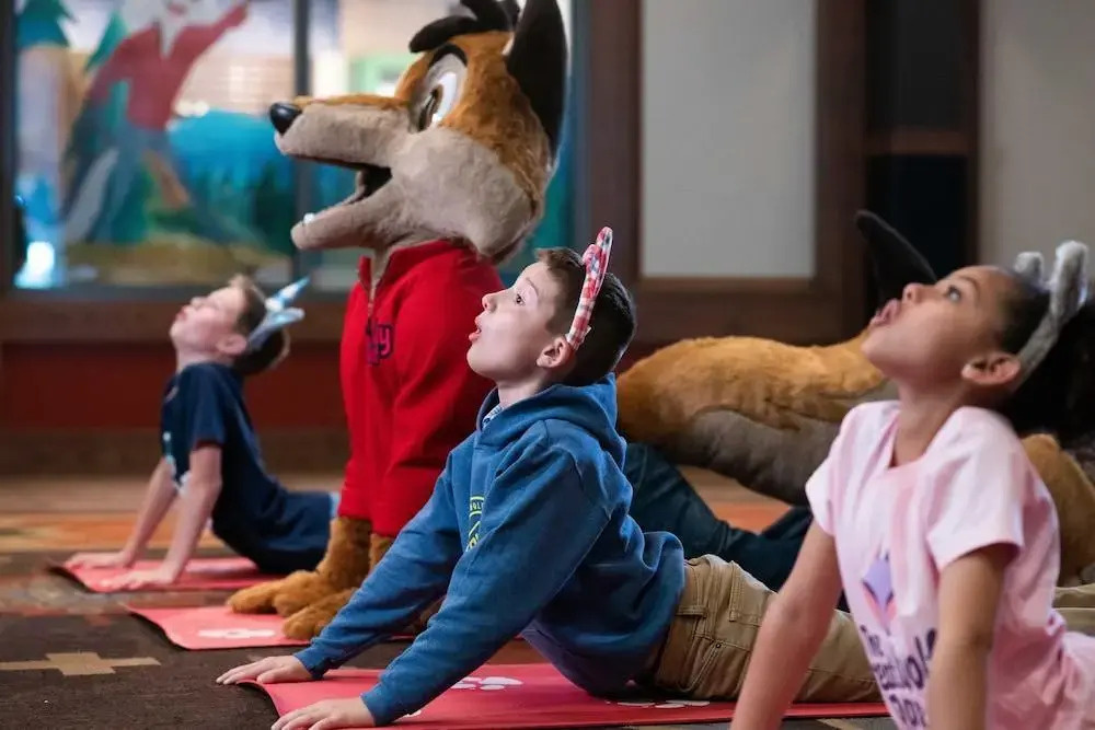 Great Wolf Lodge - Boston / Fitchburg - Général