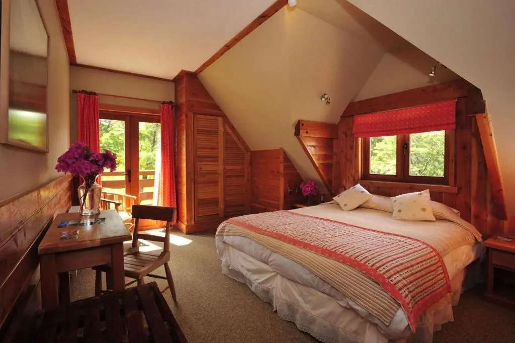 Petrohue Lodge - Chambres