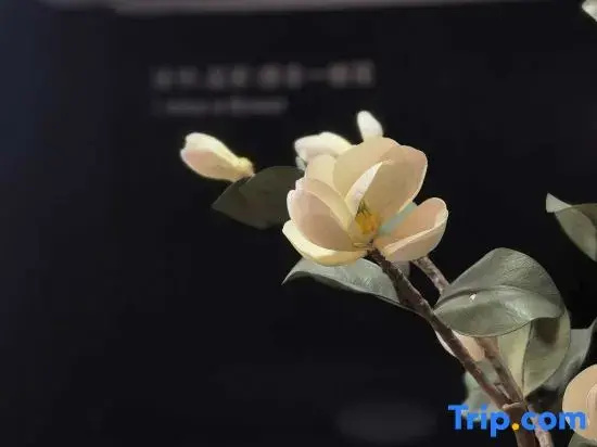 Yizhihua Hotel (Shangcheng Plaza High-speed Railway South Station Branch)