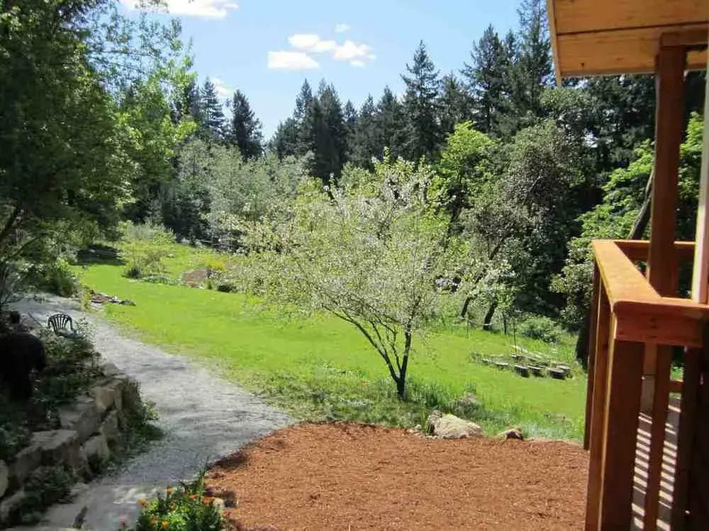 Cosy Woodpecker Cottage - фото 4