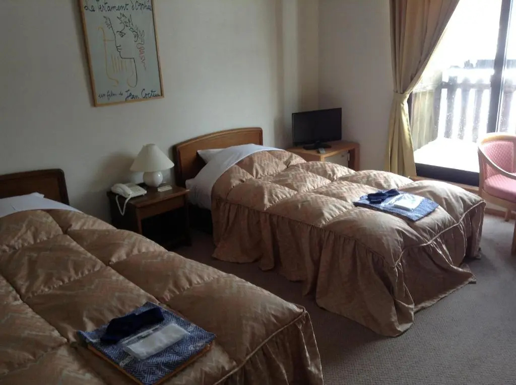 Standard Double room (twin beds)