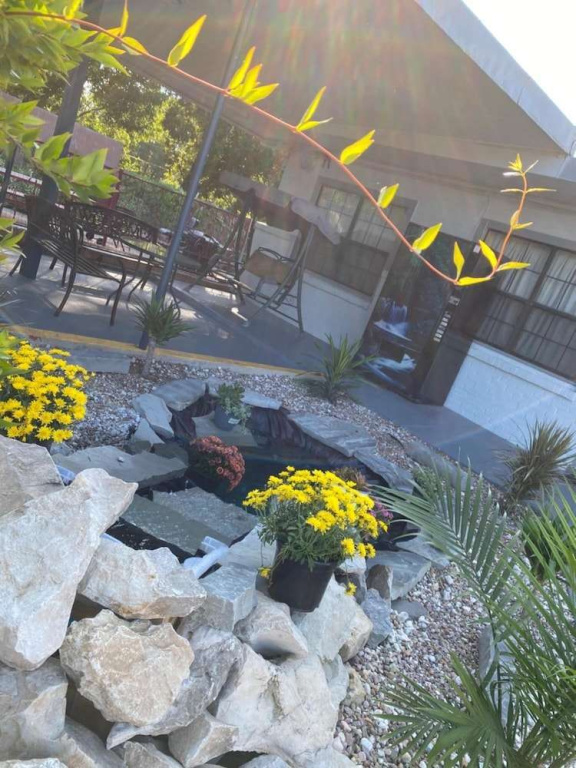 Hotel photo 26