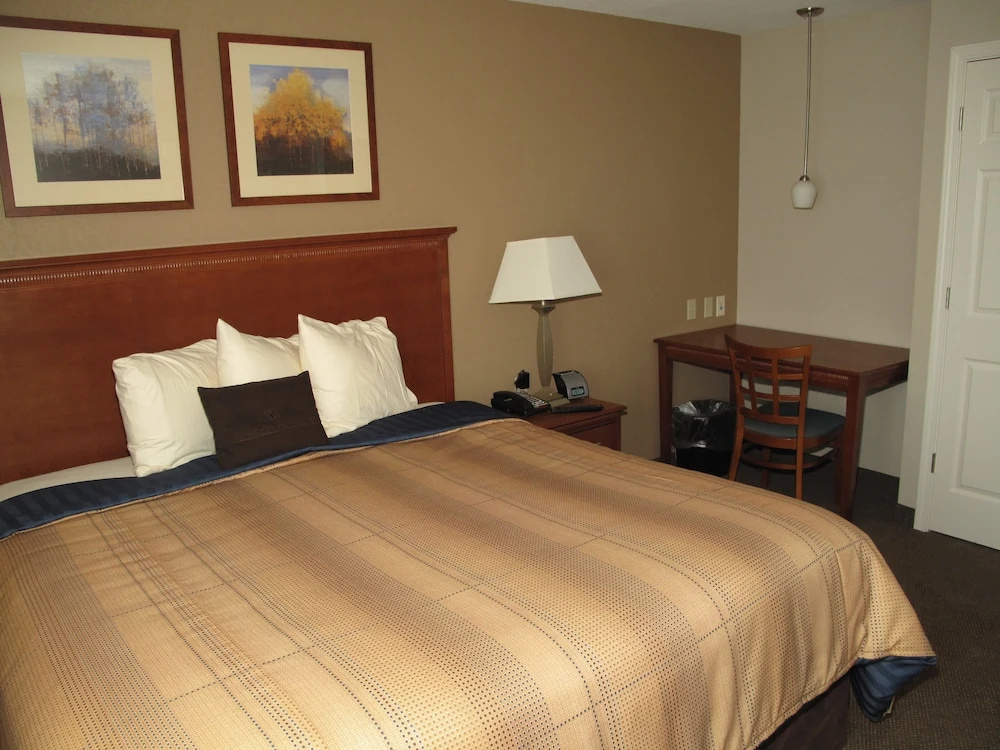 1 Bedroom Suite