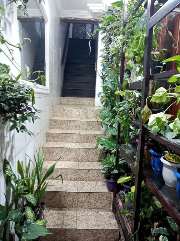 Albergue da Lucia