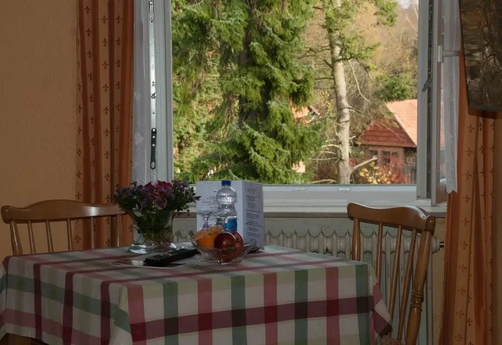 Hotel Zur Altenburg - Général