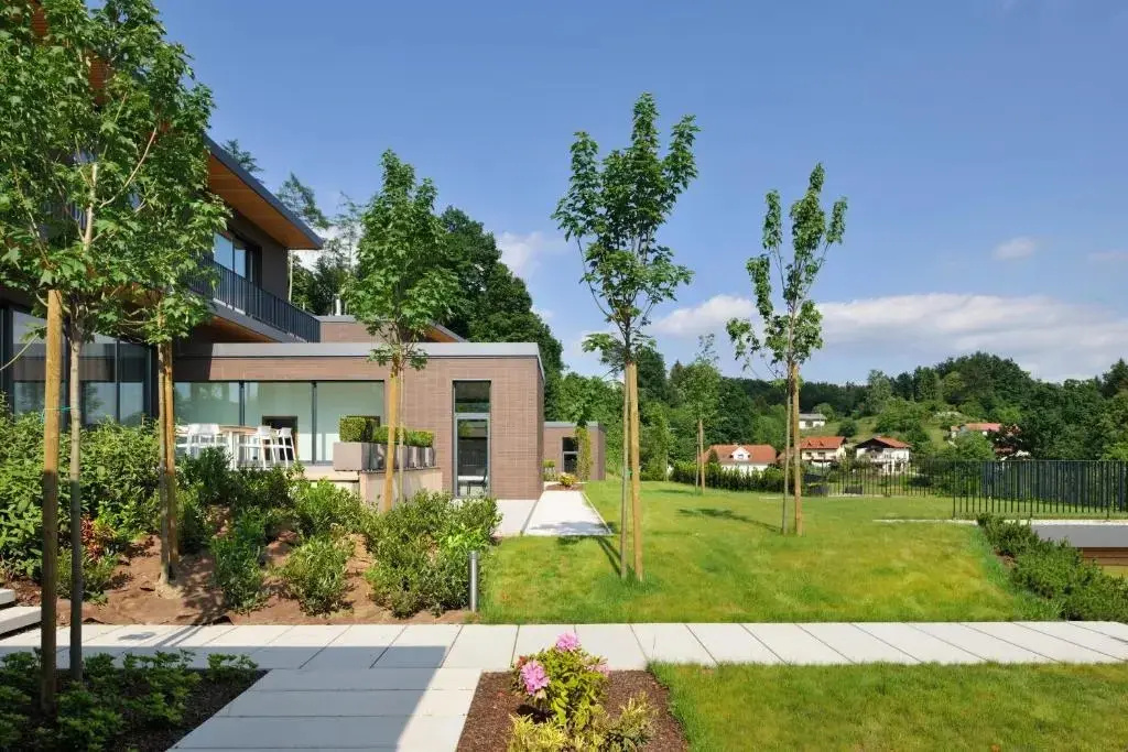 Oranda Village - Général