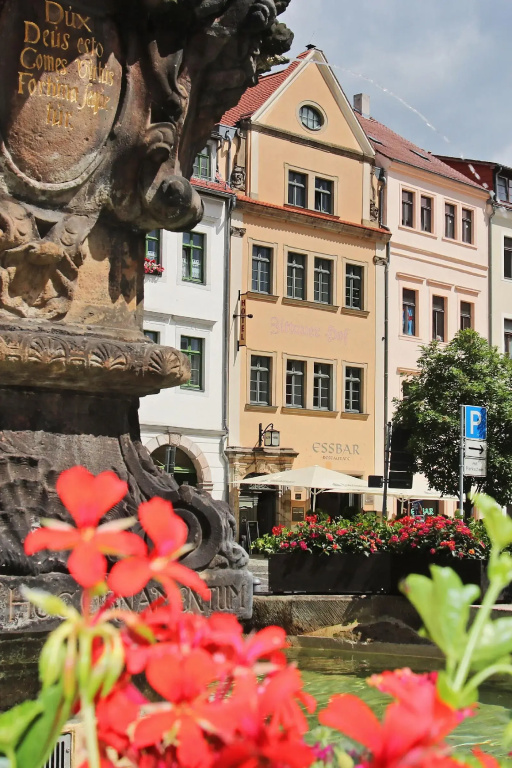 Hotel Zittauer Hof - Général