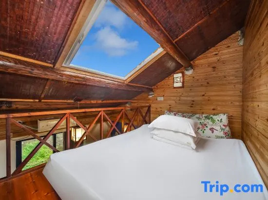 Standard Double Attic room (full double bed)