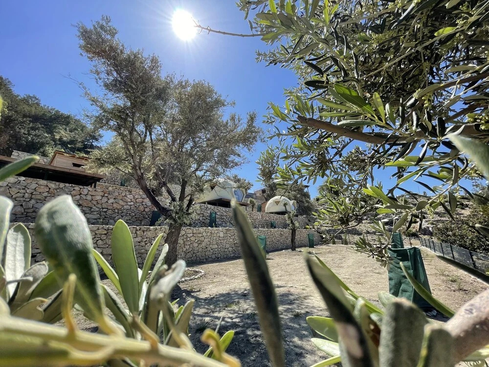 Keşif Zone Eco Resort Retreats