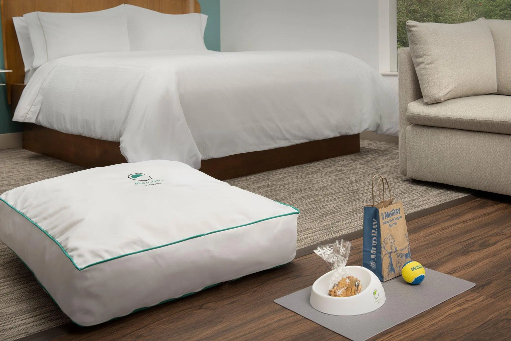 1 Bedroom Double Suite (full double bed)