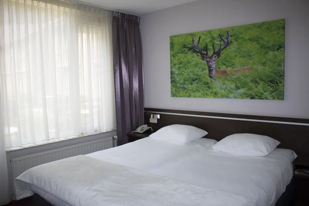 Comfort Double room (twin beds)