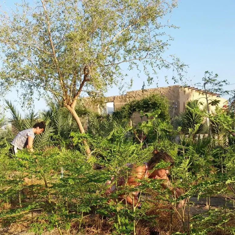 Habiba Organic Farm - фото 11