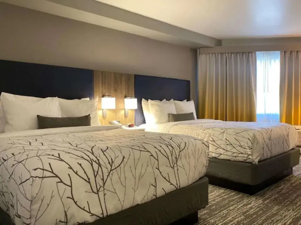 Standard Quadruple room with pool view