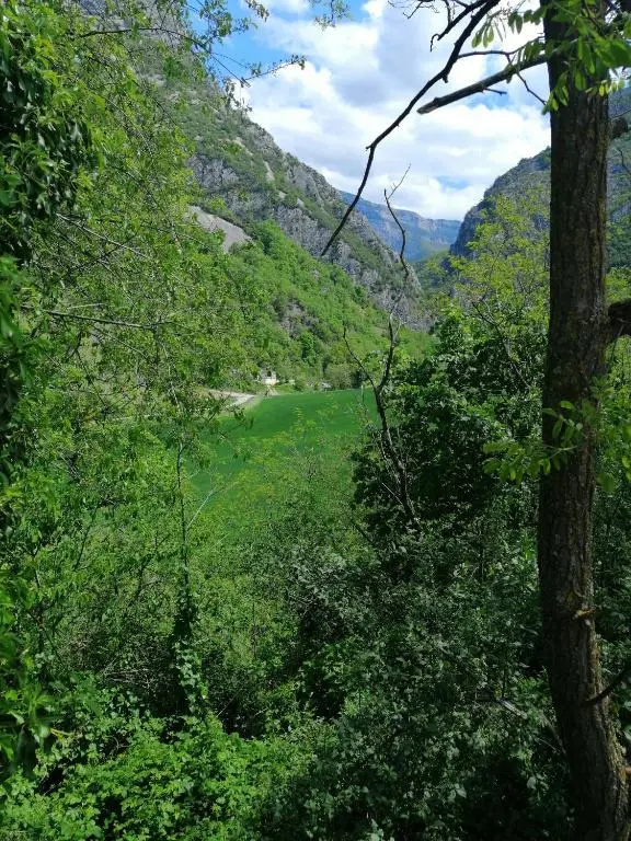 la grande chambre