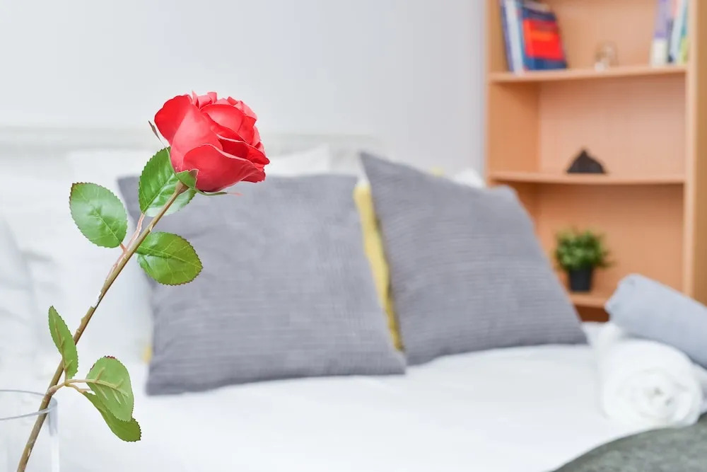 Номер Standard в Raspberry Lodge