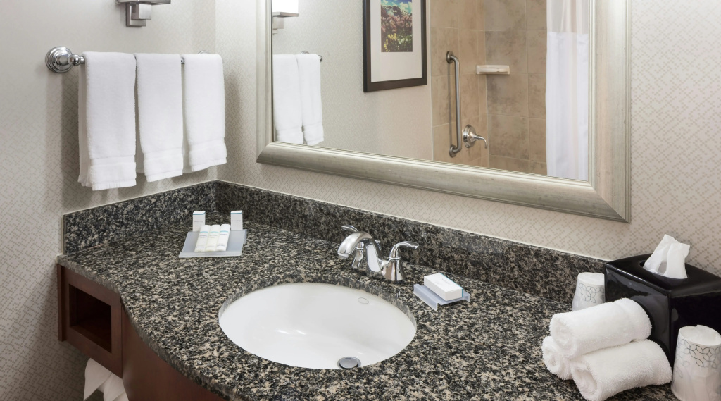 Hilton Garden Inn Denver Downtown - Général