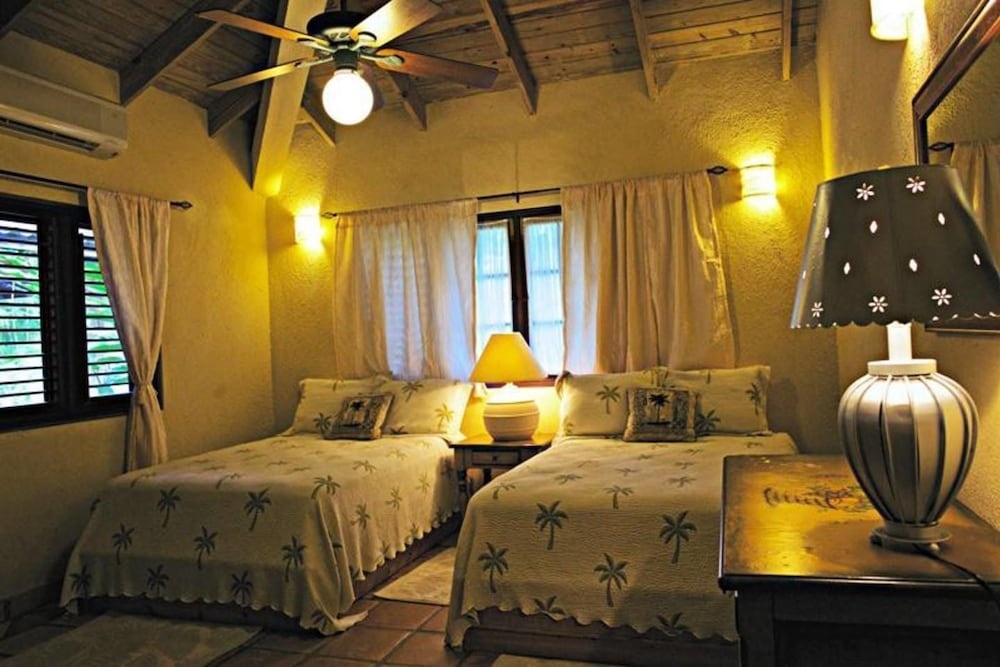 Villa Las Palmas Caribbean Family Vacation Rental