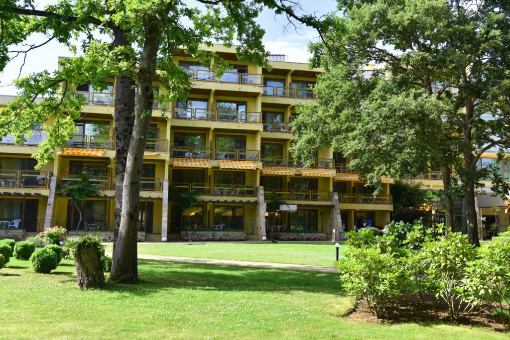 Les Magnolias Hotel - Général