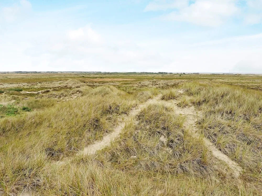 Cozy Holiday Home in Ringkøbing near Sea Beach
