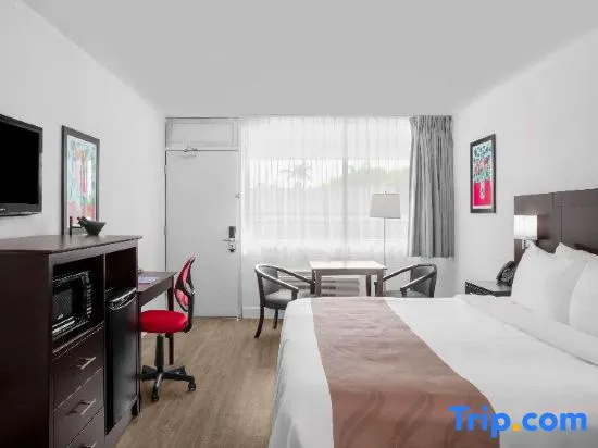 Quality Inn Miami South - Chambres