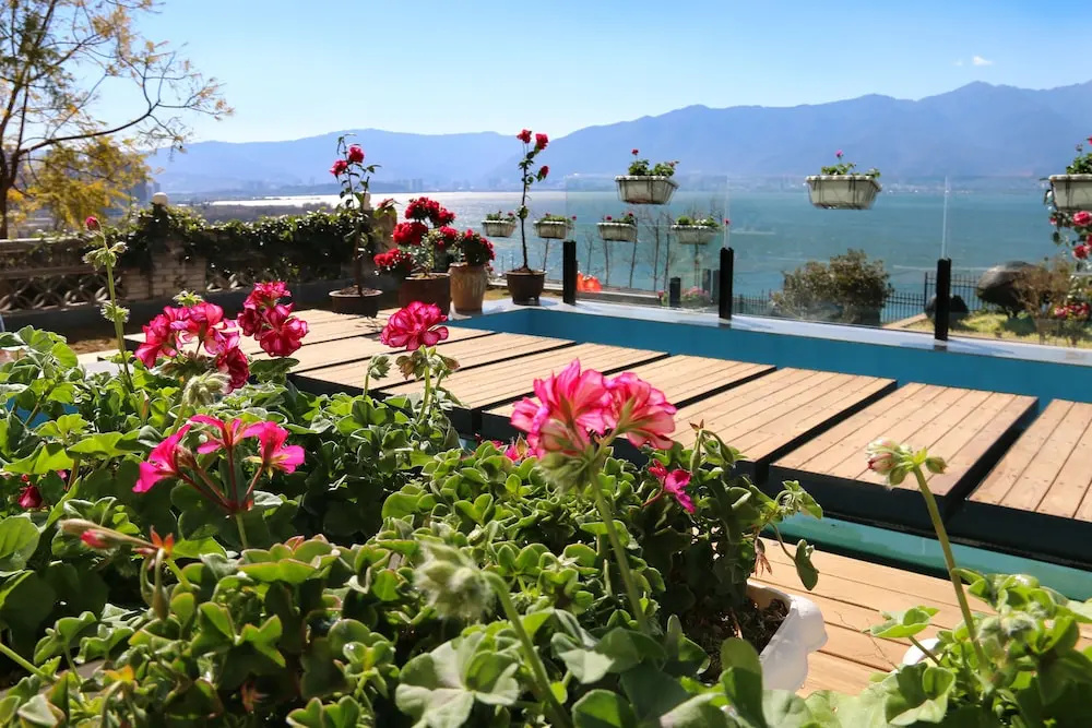 Dali Junbo Holiday Villa