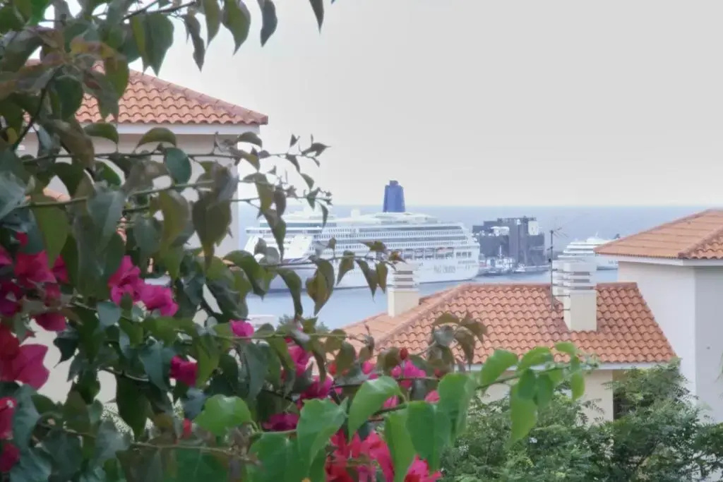 Carvalhal Old Town StayAtMadeira - Chambres