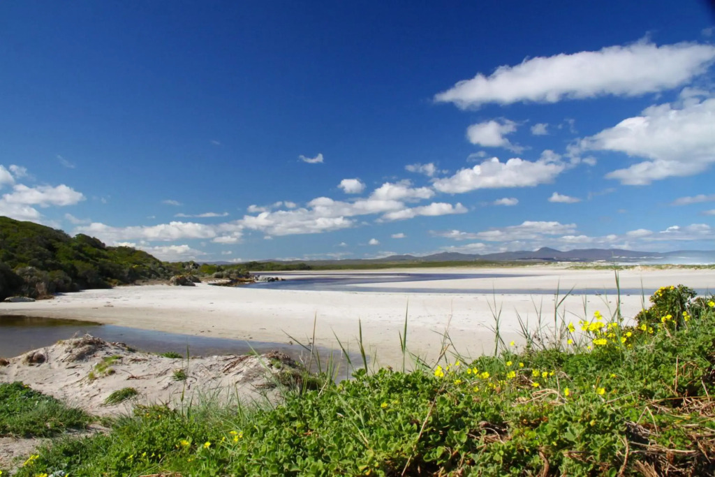 Lavender Manor Guest Lodge - фото 16