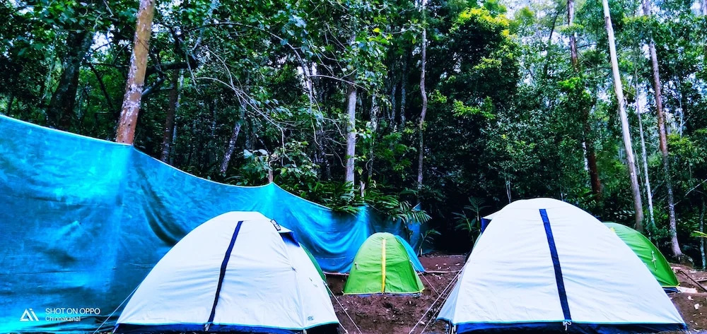 Lake View Camp
