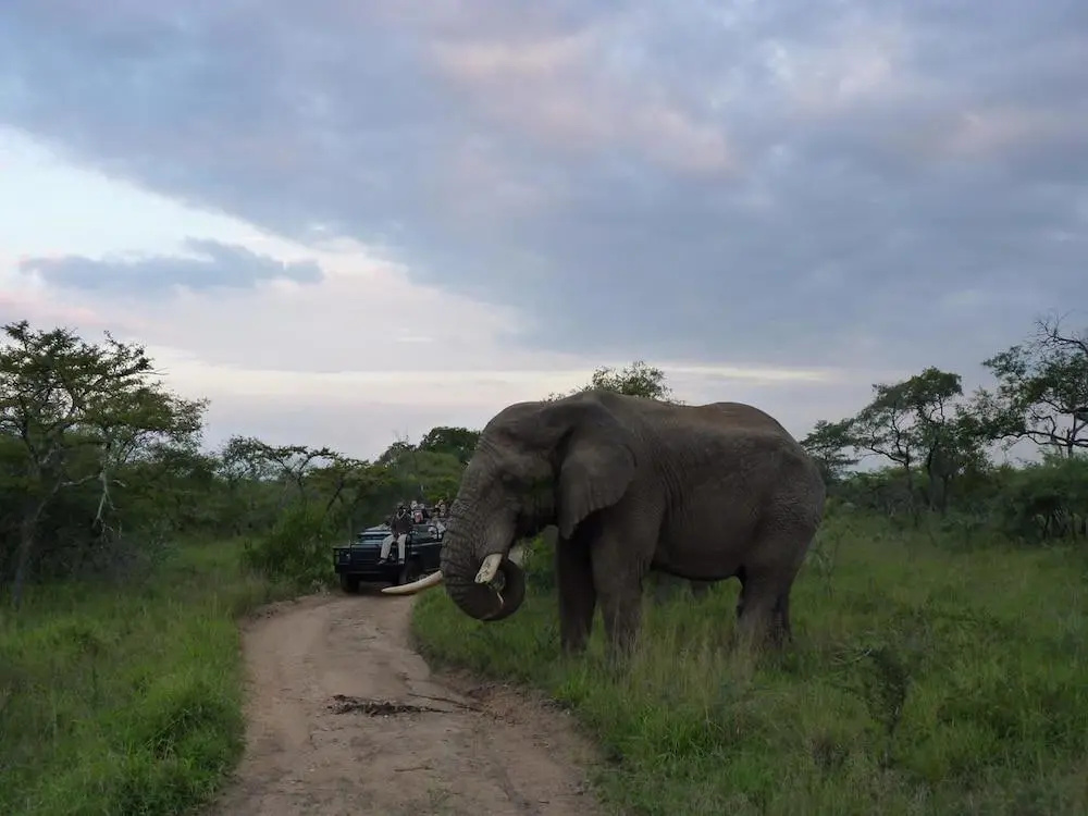 Serondella Game Lodge - Général