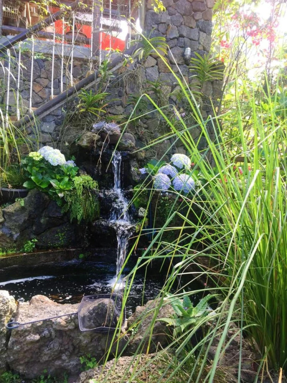 Bungalow with One Bedroom in Le Tampon, with Furnished Garden And Wifi - 10 Km From the Beach