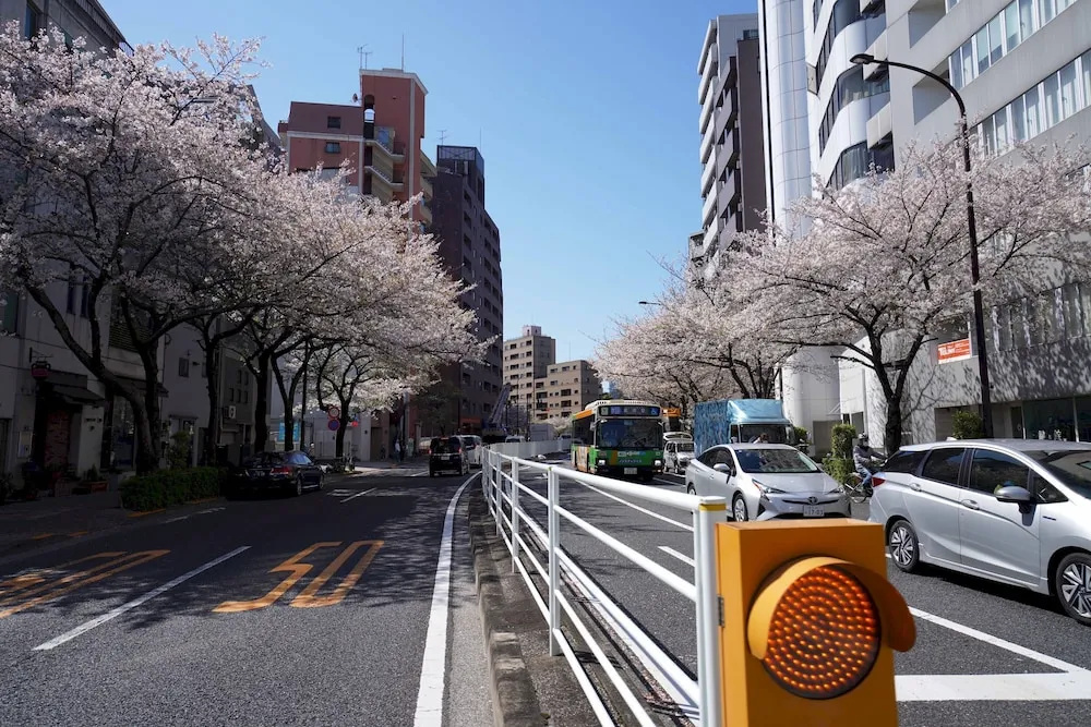 Penthouse 1-bedroom Flat in Hiroo Shibuya 사진 19