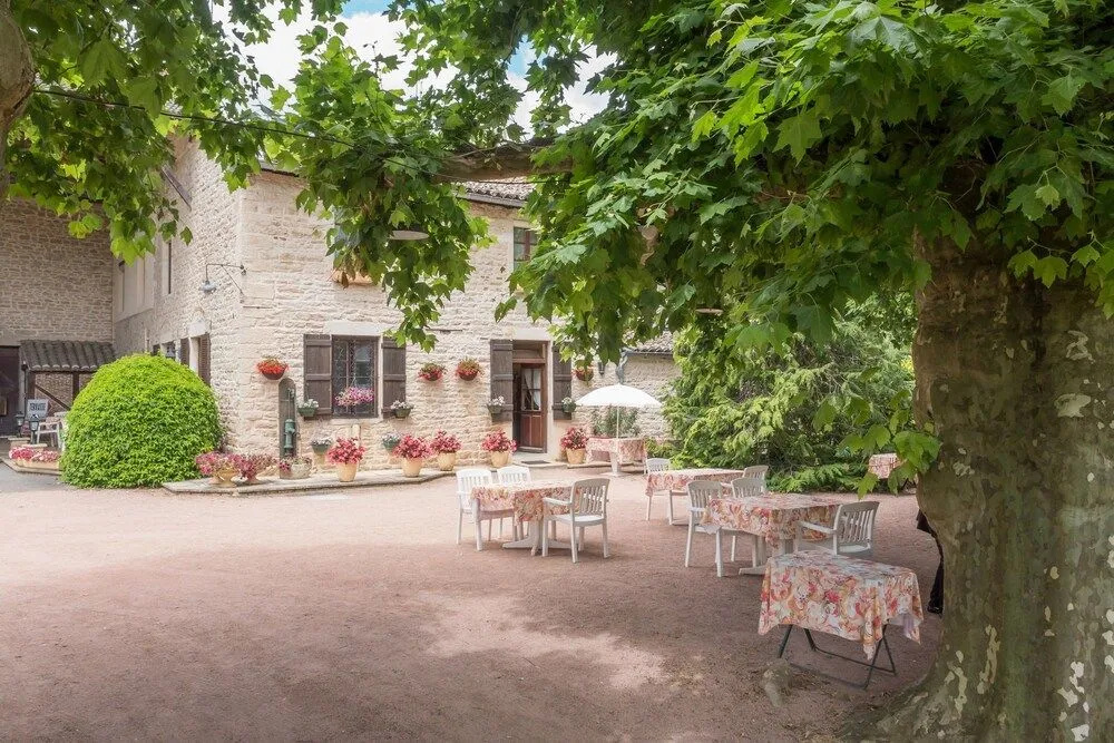 Hôtel Les Platanes - Général