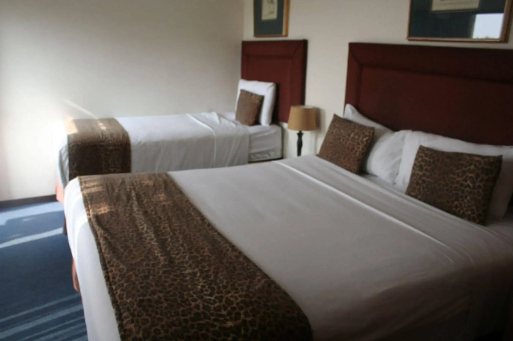Ecotel OR Tambo Airport