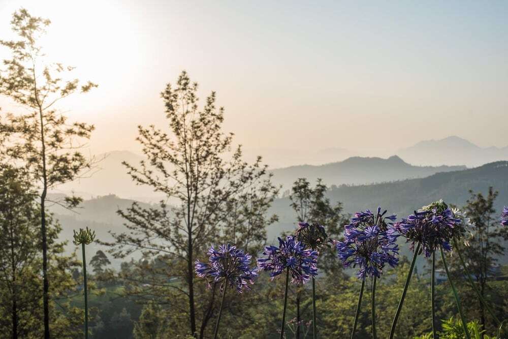 Goatfell Nuwara-Eliya