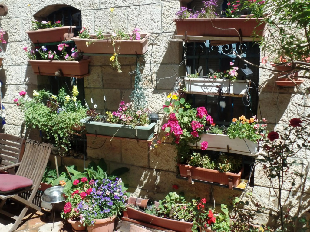 Cozy Garden