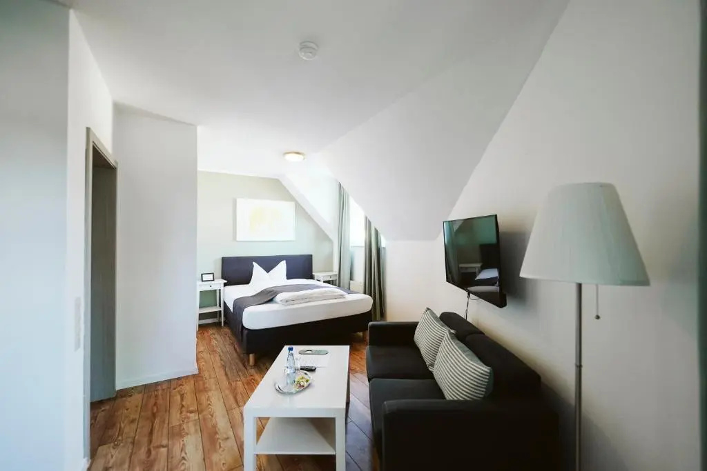 Standard Double room (full double bed)