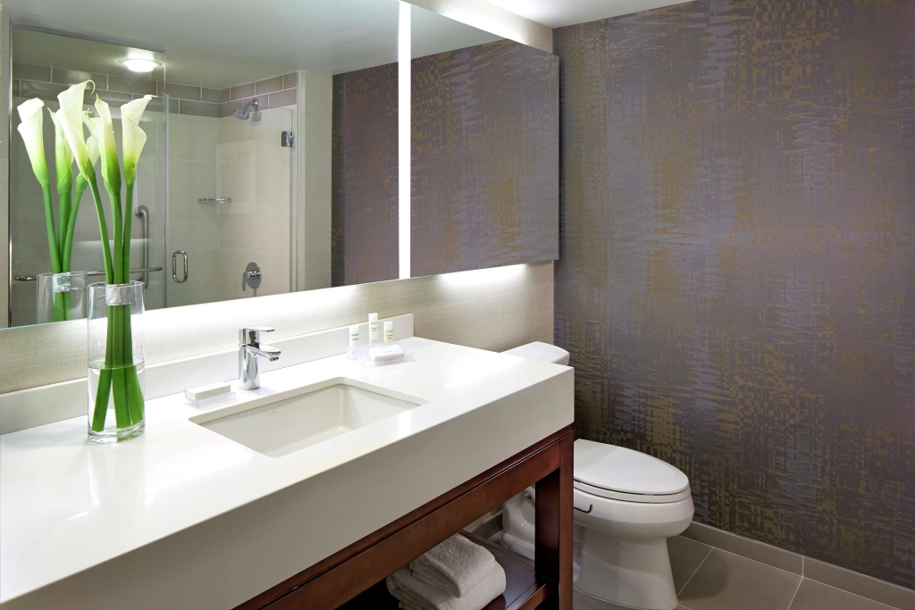 Hilton Garden Inn San Diego Old Town/SeaWorld Area - Général