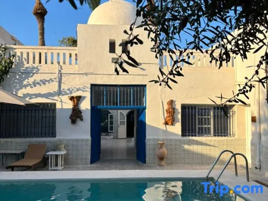 CoZi at Dar Faiza